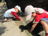 img0003.jpg