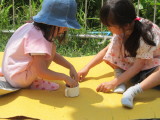 img0005.jpg