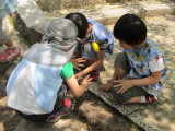 img0024.jpg