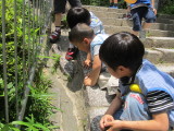 img0033.jpg