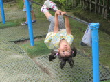 img0034.jpg