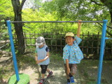 img0042.jpg