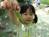 img0043.jpg