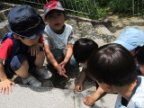 img0044.jpg