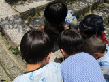 img0046.jpg