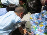 img0047.jpg