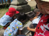 img0048.jpg