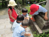 img0049.jpg