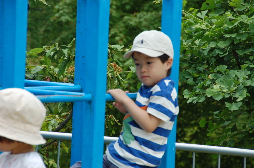 img0017.jpg