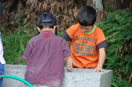 img0020.jpg