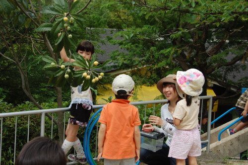 img0041.jpg