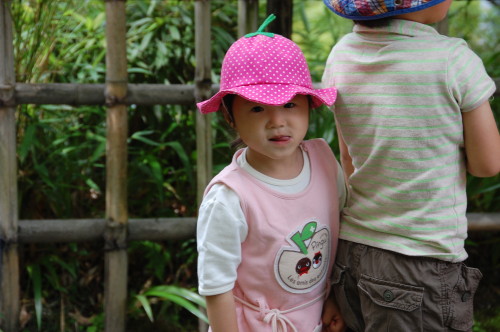 img0053.jpg