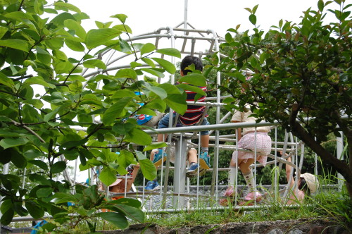 img0060.jpg
