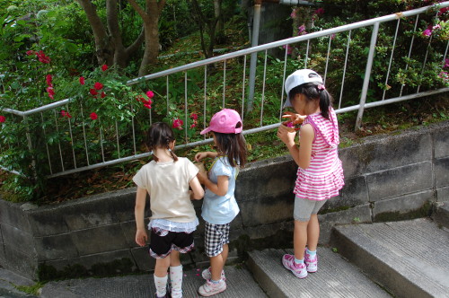 img0061.jpg
