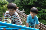 img0003.jpg