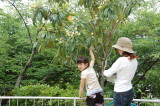 img0040.jpg