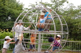 img0046.jpg
