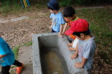 img0048.jpg