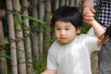 img0055.jpg