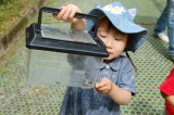 img0057.jpg