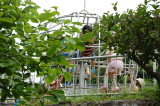 img0060.jpg