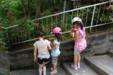 img0061.jpg
