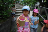 img0062.jpg