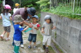 img0064.jpg