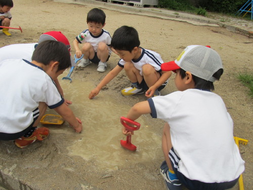 img0006.jpg