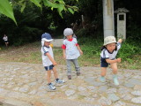 img0001.jpg