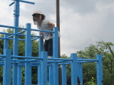 img0012.jpg