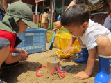 img0039.jpg