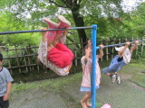 img0051.jpg