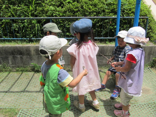 img0008.jpg