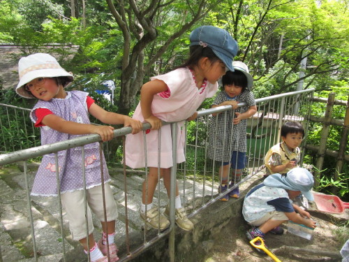 img0010.jpg