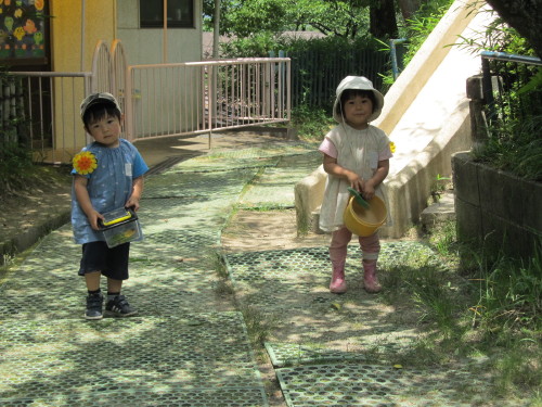 img0016.jpg