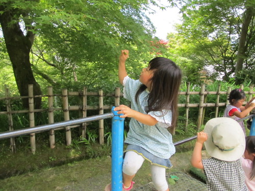 img0019.jpg