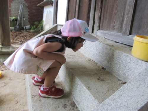 img0049.jpg