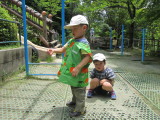 img0003.jpg
