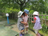 img0009.jpg