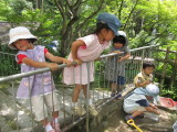 img0010.jpg