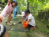 img0011.jpg