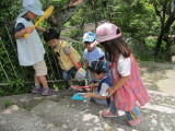 img0013.jpg