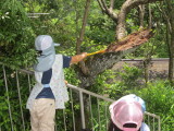 img0014.jpg