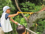 img0015.jpg
