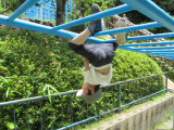 img0018.jpg