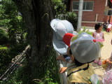 img0032.jpg