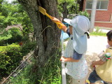 img0033.jpg