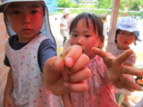 img0039.jpg