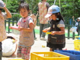 img0040.jpg